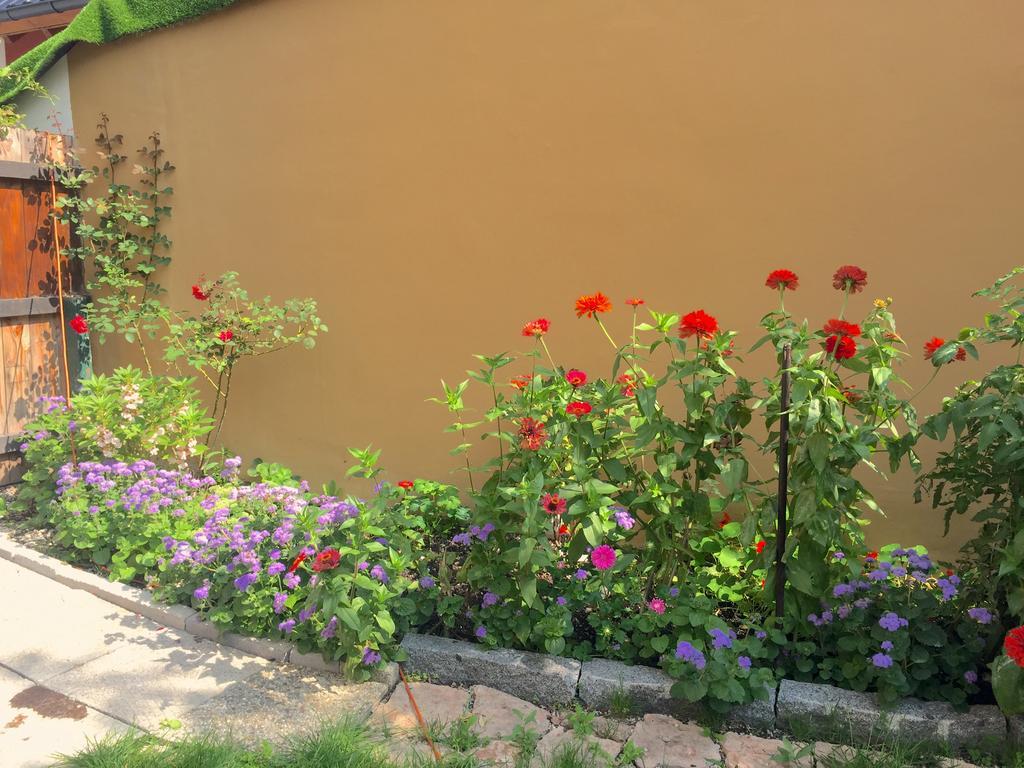 Book-A-Room Salzburg Apartment 5-6-7-8 Εξωτερικό φωτογραφία